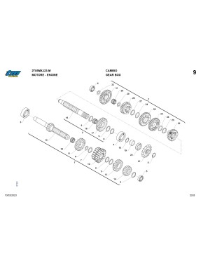 Despice MY23 - 2T 85 SMX-J MOTORE (ENGINE)