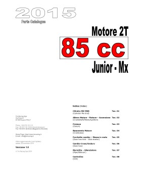 Despice MY15 - 2 Tiempos Motor 85cc