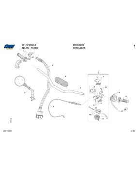 Despiede MY20 - 2 Tiempos 2T 125 Fi EN TELAIO (FRAME)