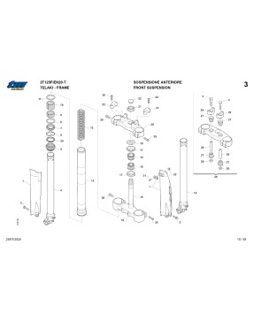 Despiede MY20 - 2 Tiempos 2T 125 Fi EN TELAIO (FRAME)