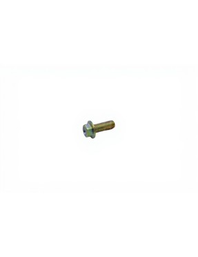 VITE TE FR 6X16 Ch8 PERNO