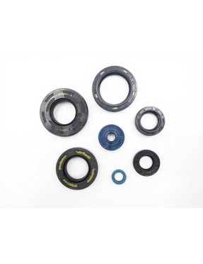 KIT DE RETENES DE ACEITE, 125/144cc 06/08