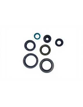 KIT DE RETENES DE ACEITE 250/300 EV 15-18