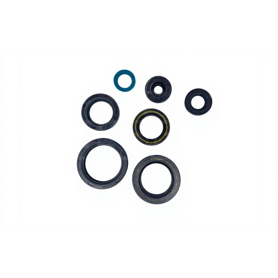 KIT DE RETENES DE ACEITE 250/300 EV 15-18