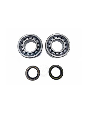 Kit de cojinetes de cigüeñal TM 125cc 2015-2021