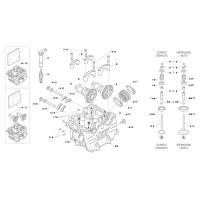 MX Árbol de levas / Válvulas MX
