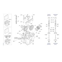END Árbol de levas / Válvulas END