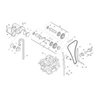 MX Cadena de distribución MX