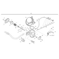 Cuerpo de mariposa MX