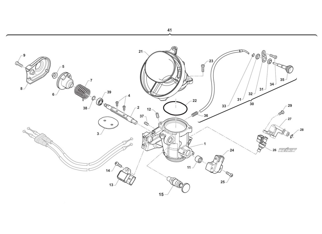 Cuerpo de mariposa MX
