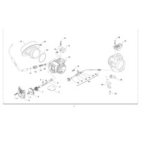 END Cuerpo de mariposa END