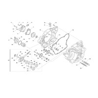 Bomba de aceite / Bomba de agua