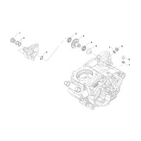 Aceite / Tapón de arranque a pedal