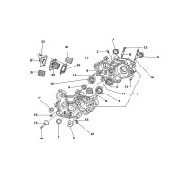 Membrane / Crankcase