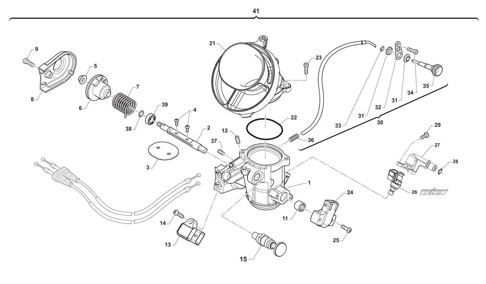 Cuerpo de mariposa MX