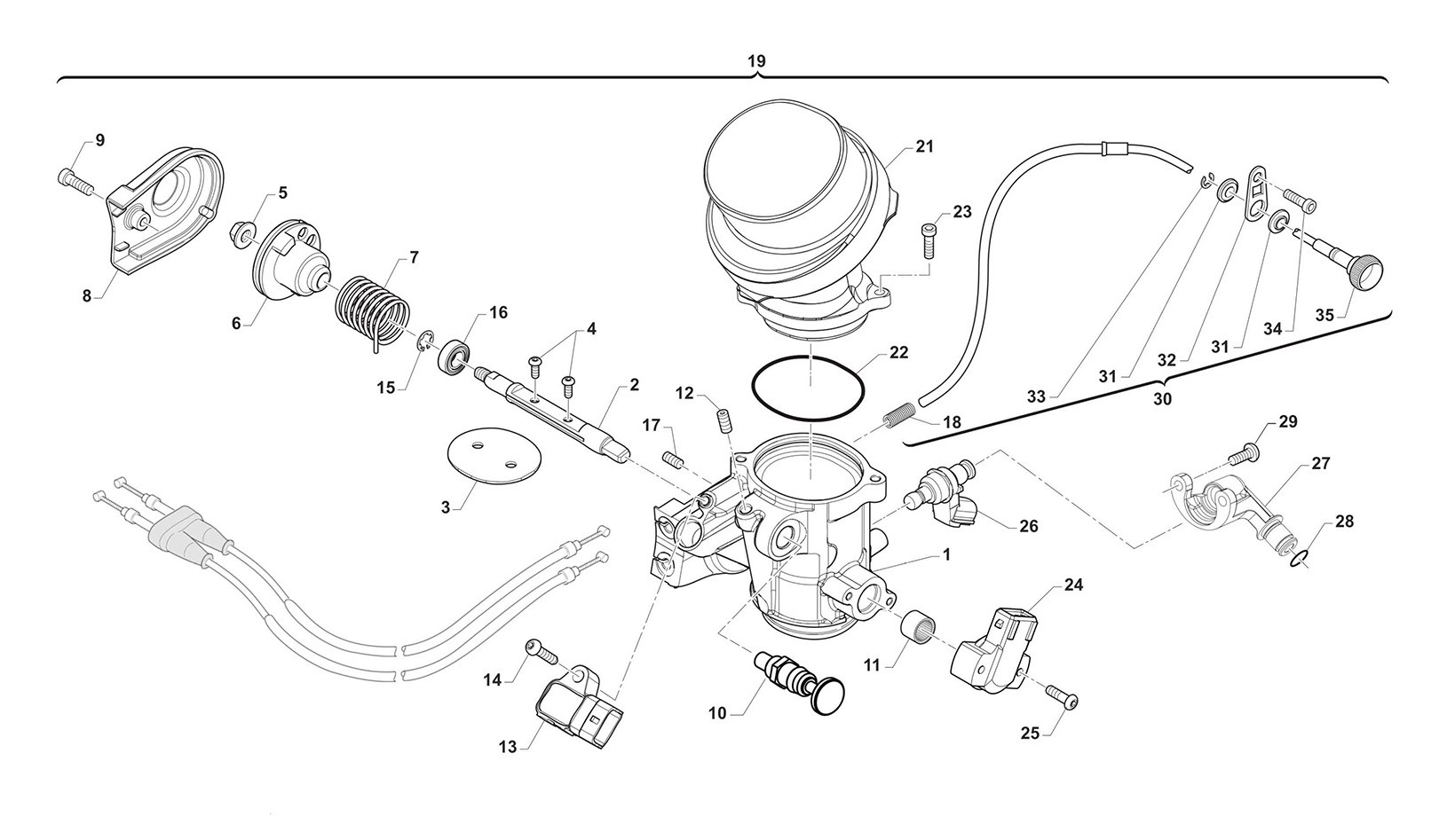 Cuerpo de mariposa 250FI END